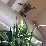 Rp Fitlife Es Vendeghaz 3*