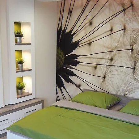 Rp Fitlife Stúdió és