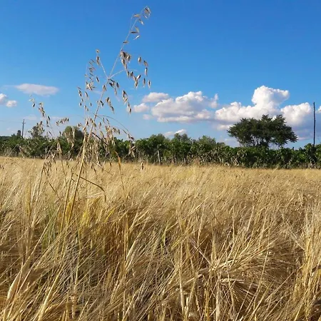 Maison d'hôtes Rp Fitlife Stúdió és Szentgál