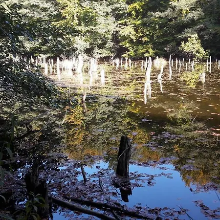 Rp Fitlife Stúdió és 3* Szentgál