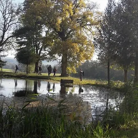 Rp Fitlife Stúdió és