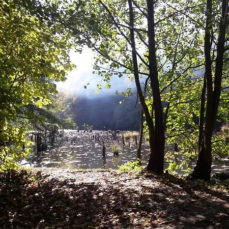 Rp Fitlife Stúdió és Maison d'hôtes Szentgál