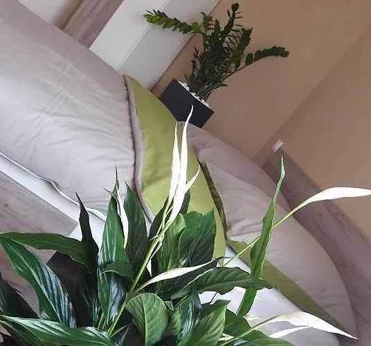 Rp Fitlife Es Vendeghaz 3*