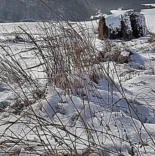 בית הארחה Rp Fitlife Es Vendeghaz