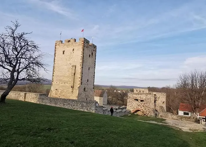 Rp Fitlife Es Vendeghaz