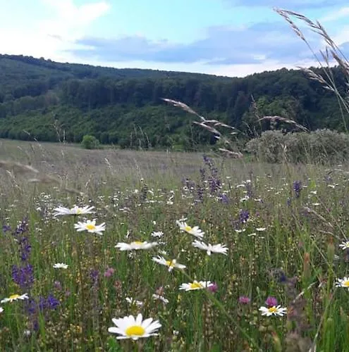 Rp Fitlife Es Vendeghaz 3* Szentgál