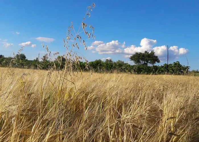 Gæstehus Rp Fitlife Es Vendeghaz Szentgál