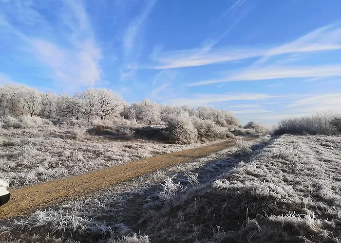 Rp Fitlife Es Vendeghaz בית הארחה 3*