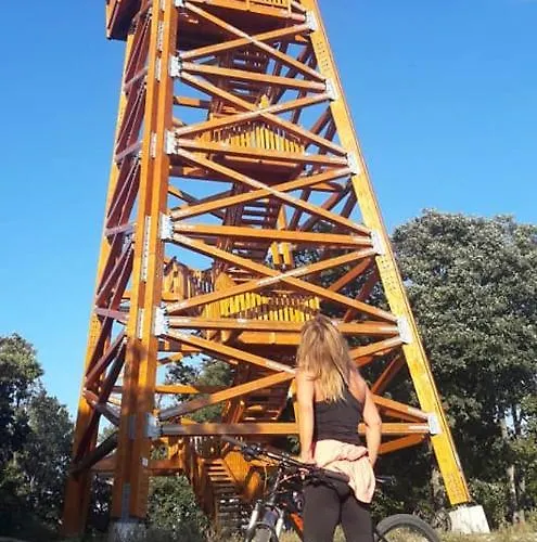 בית הארחה Rp Fitlife Es Vendeghaz 3*