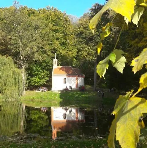 Rp Fitlife Es Vendeghaz בית הארחה Szentgál