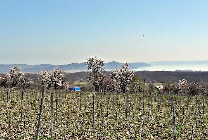 Rp Fitlife Es Vendeghaz Gæstehus Szentgál