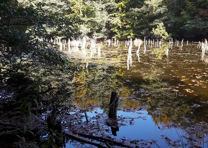 Rp Fitlife Es Vendeghaz 3* Szentgál