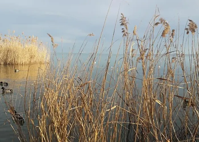 Rp Fitlife Es Vendeghaz Gæstehus Szentgál