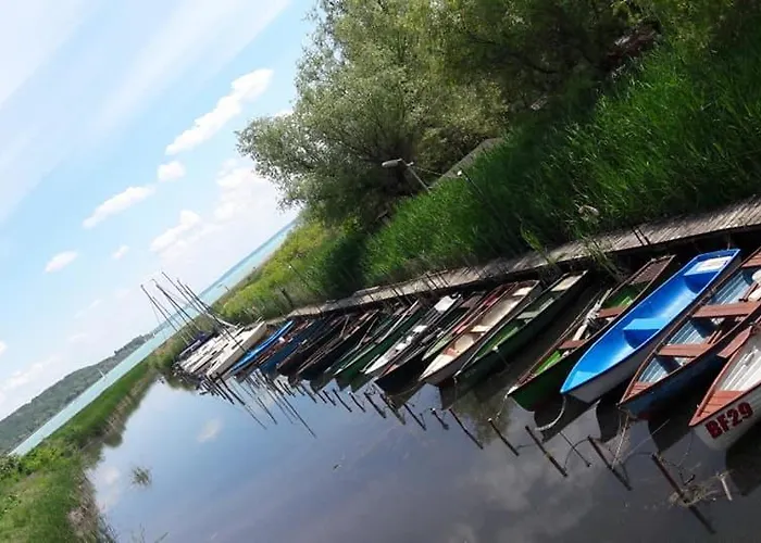 Rp Fitlife Es Vendeghaz