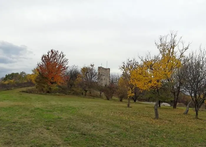 Rp Fitlife Es Vendeghaz Gæstehus