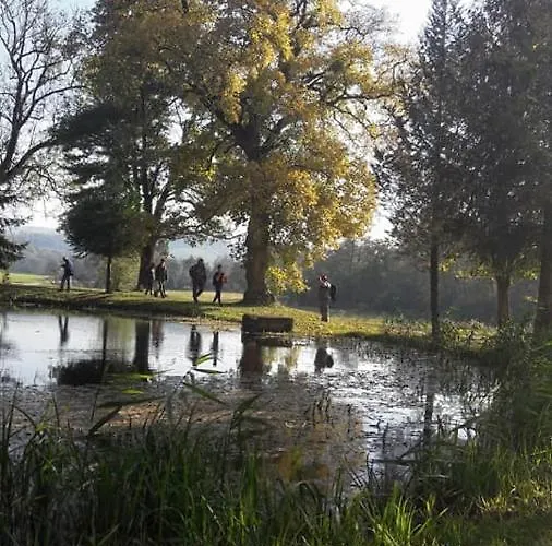 Rp Fitlife Es Vendeghaz